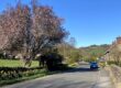 Car Driving on Matlock Street