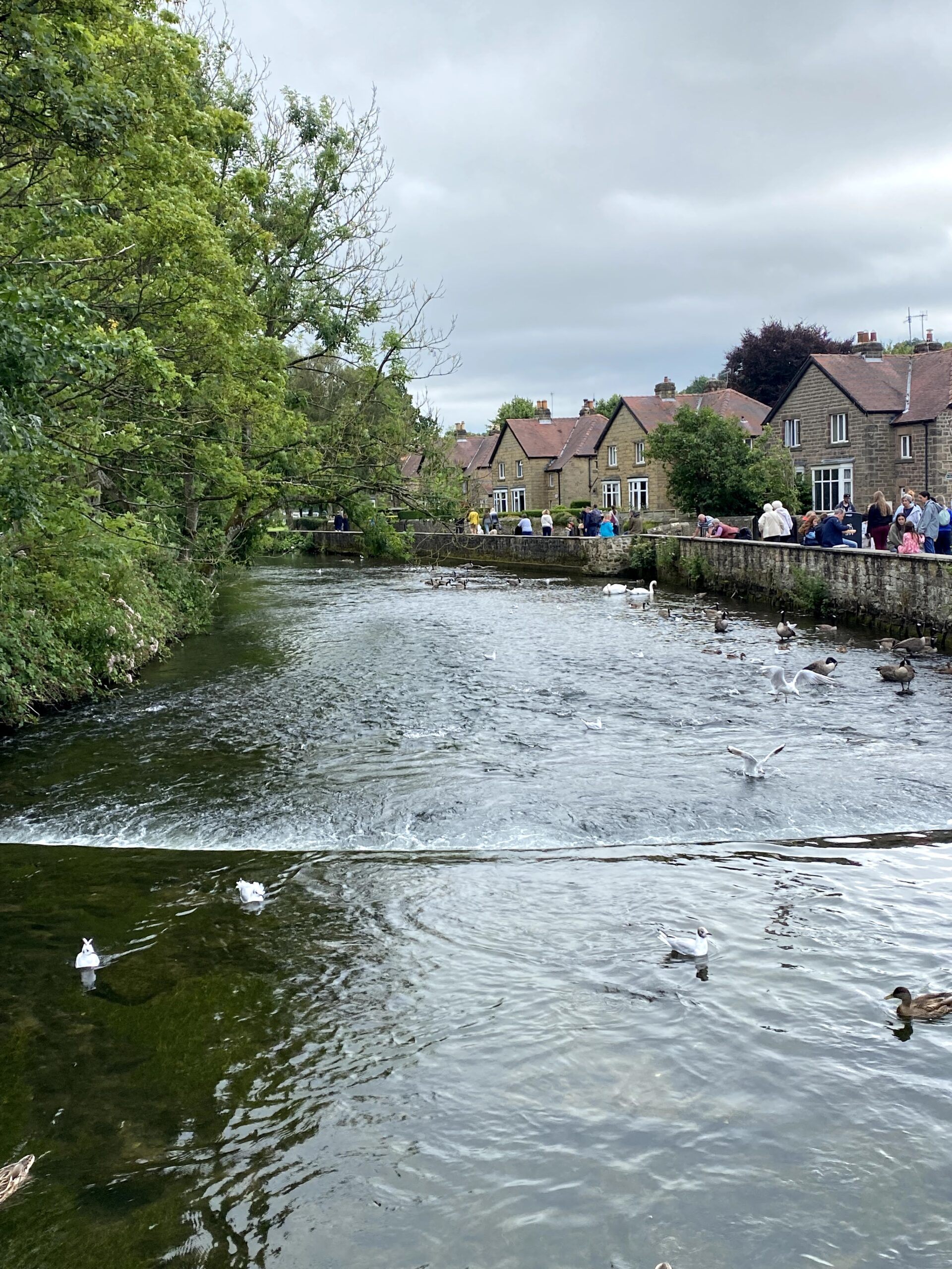 Bakewell River